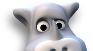 rhino image